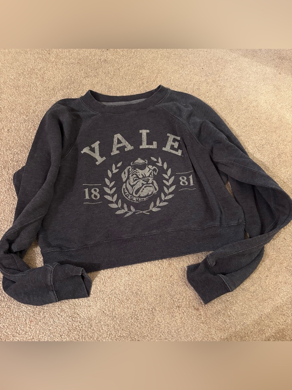Yale University Bulldog Cropped Crewneck Sweatshirt - Charcoal women’s small
